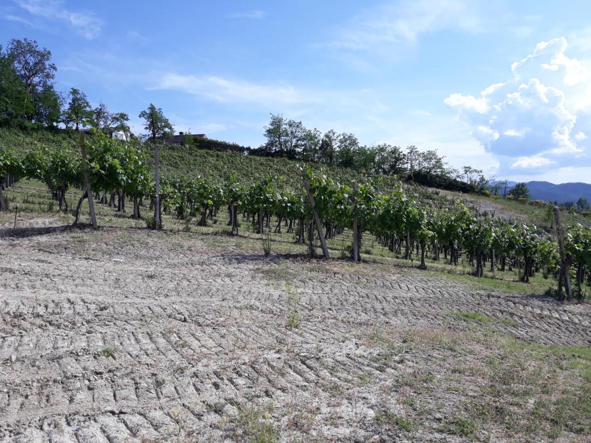 Il Biancospino Bed & Wine *