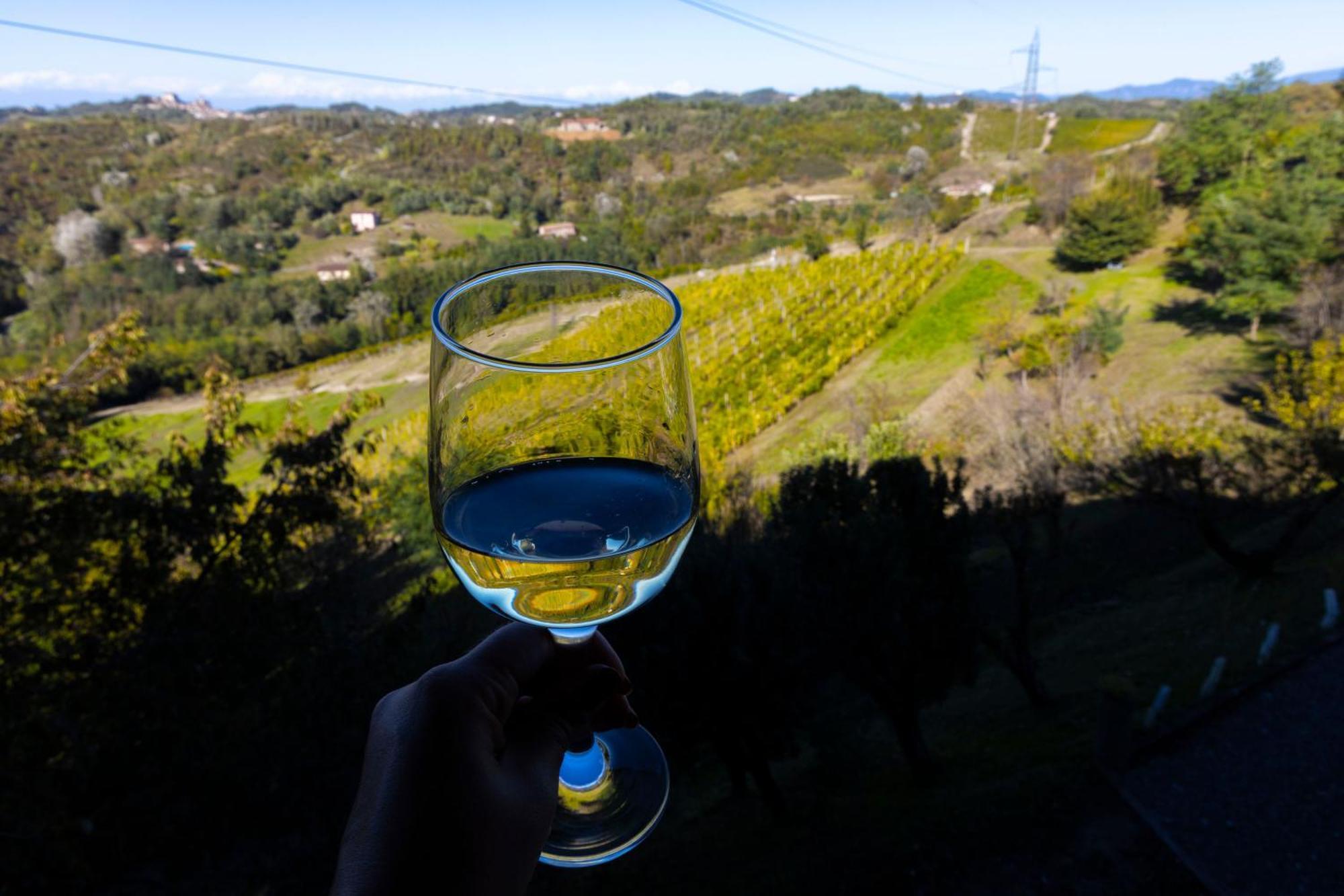 Apartment Il Biancospino Bed & Wine