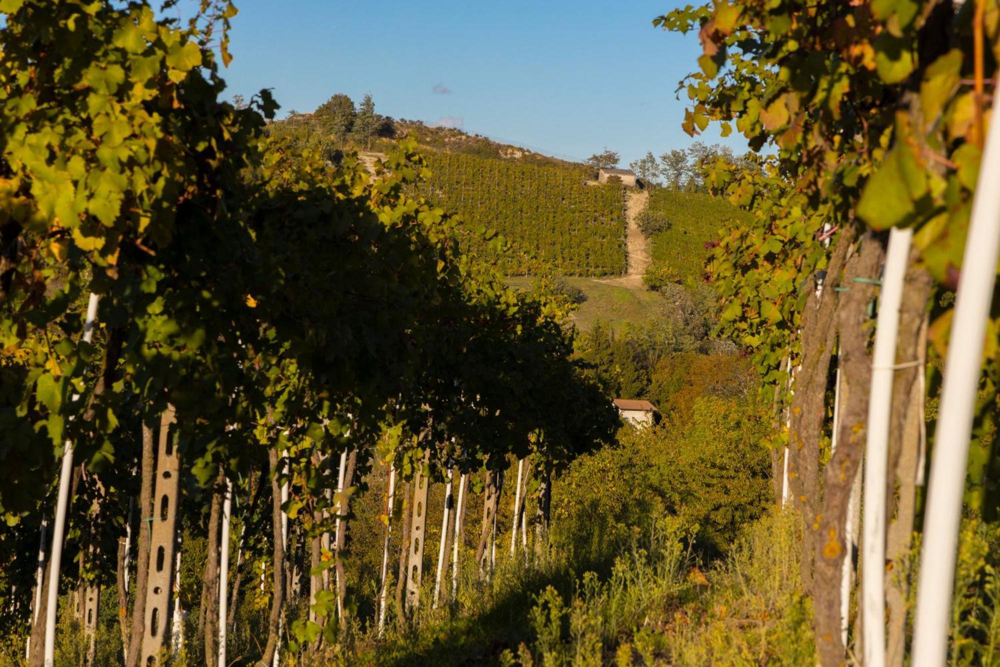 Apartment Il Biancospino Bed & Wine *